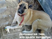 “Начинай с себя”, помогай тем, кто в этом нуждается